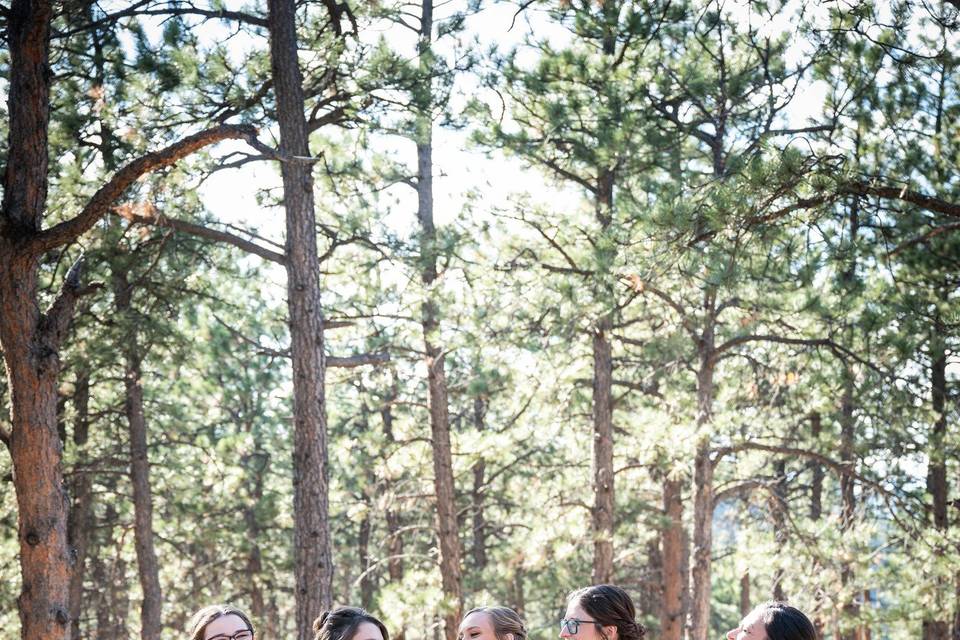 The Bride and Bridesmaids