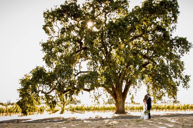 What a Tree!