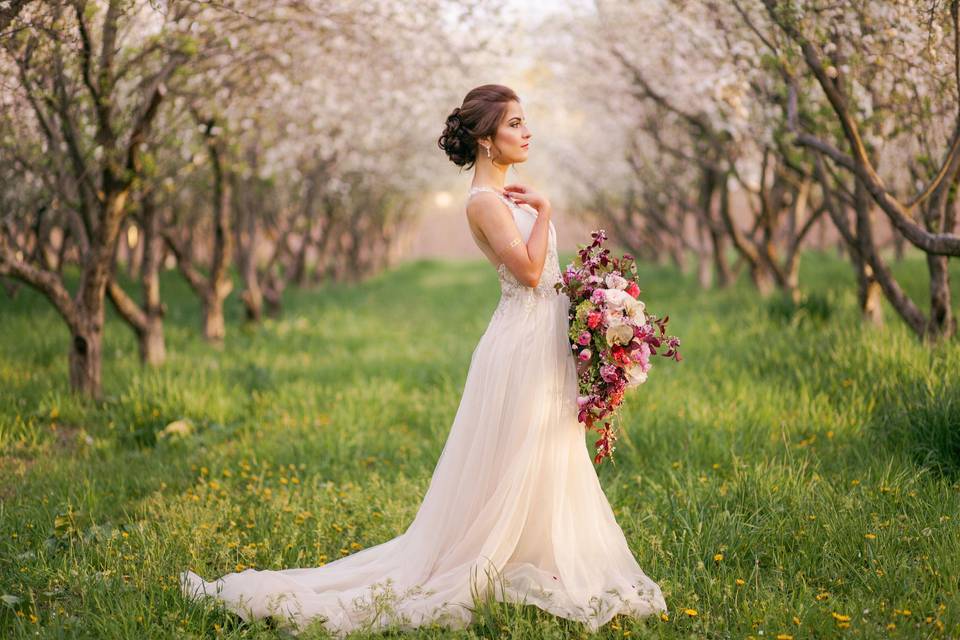 Stephanie Pass Photography