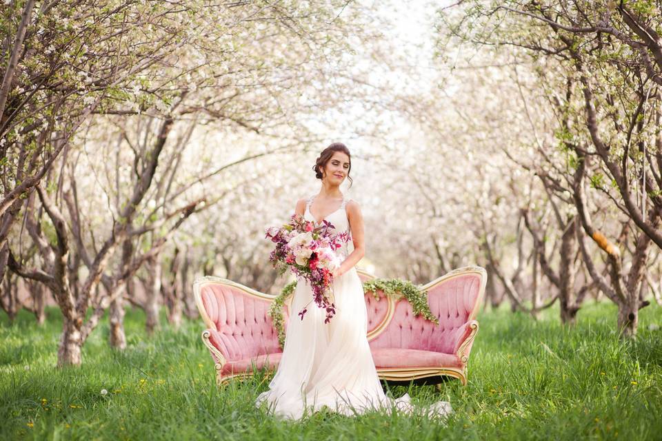 Stephanie Pass Photography