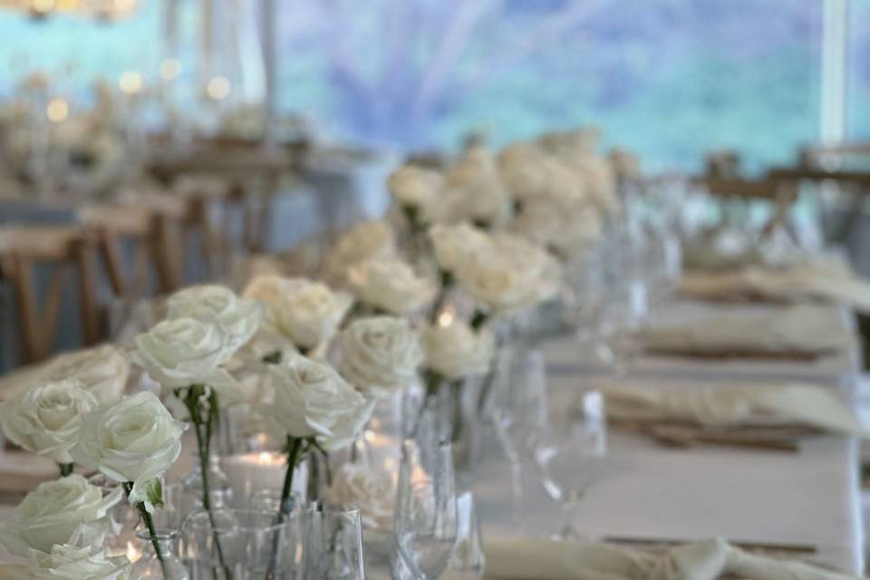 Wedding Reception