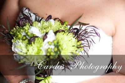 Cardas Photography