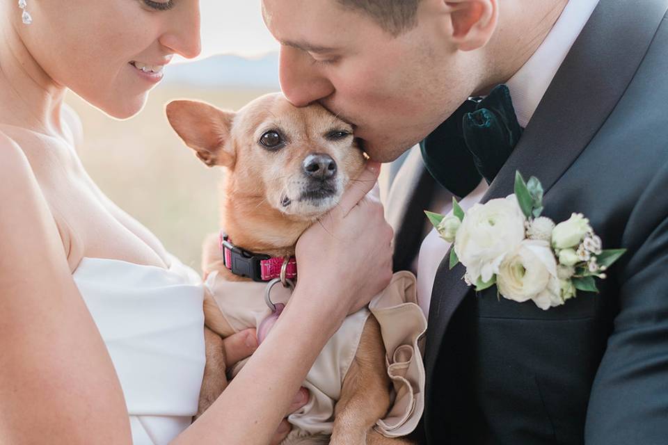 Tuxedo