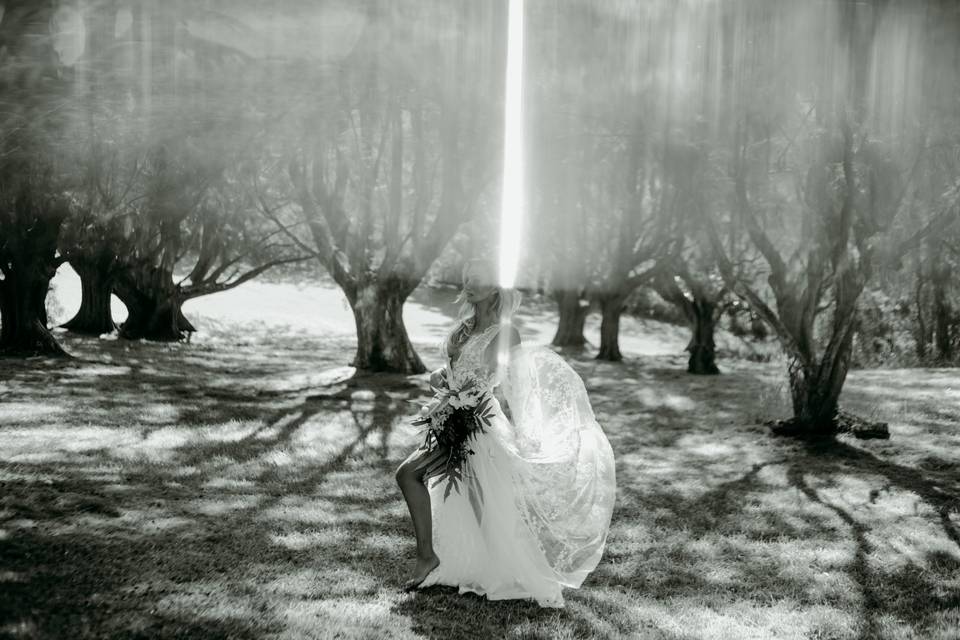 Bridal Portraits of McKaela
