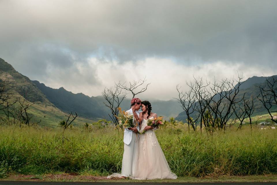 Kitty and Taylor's Elopement