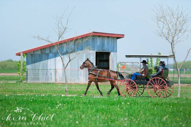 Mulberry lane discount farms wi