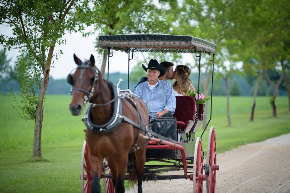 Buggy ride to ceremony