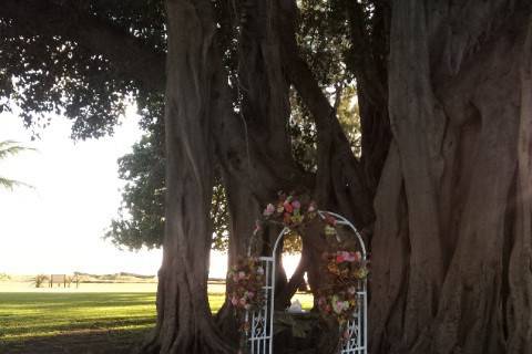 Decorated wedding arbor