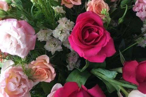 Shades of pink