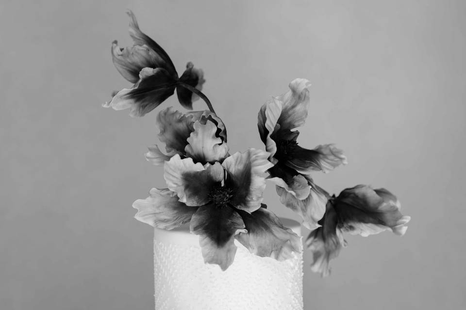 Cake details