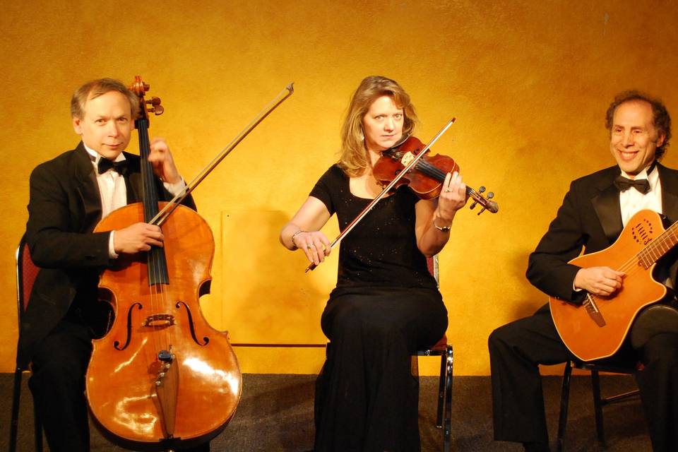 Classical trio