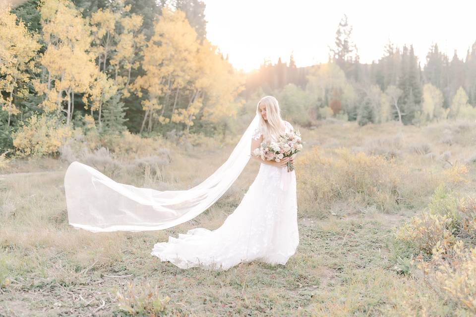 Sunset Bridals in the Mountain