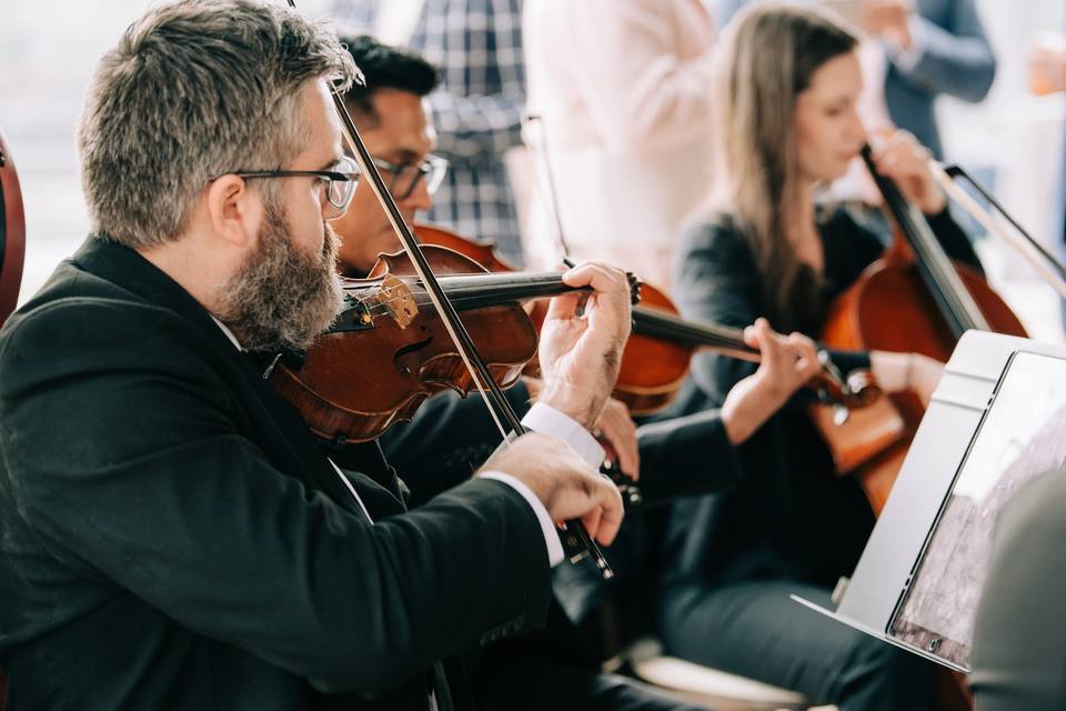 String Vibes part 2