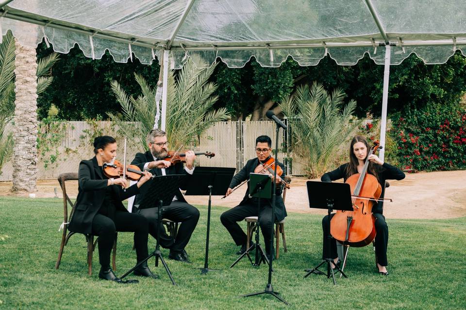 Quartet