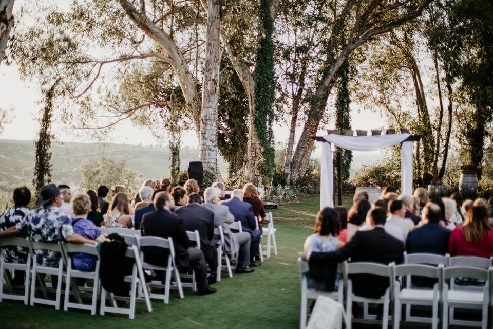 Outdoor wedding