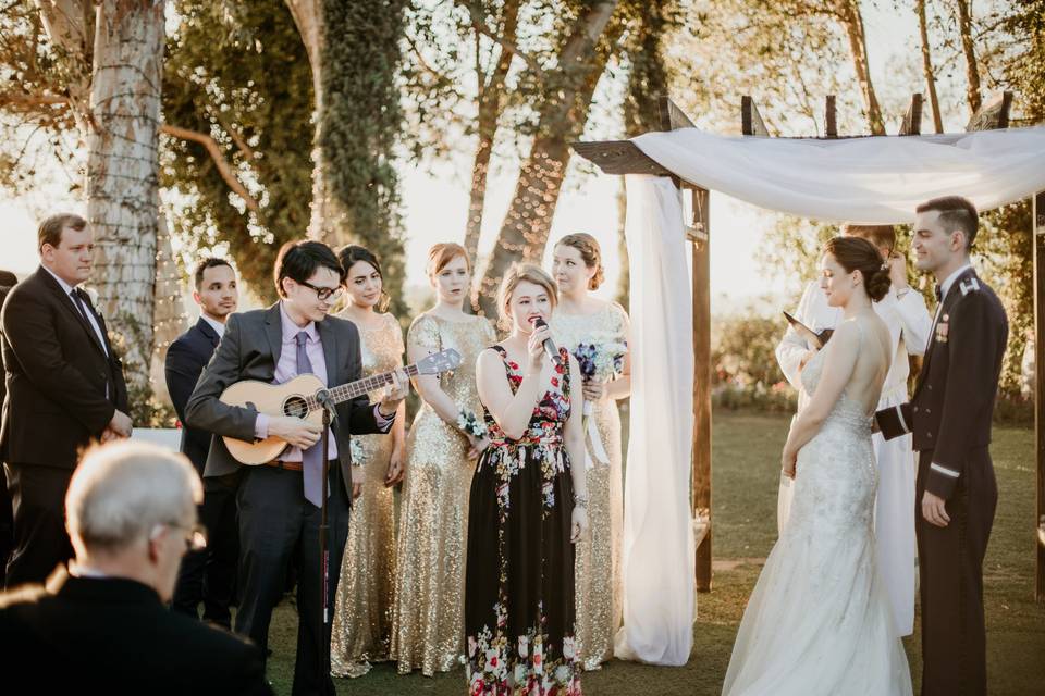 Wedding musician