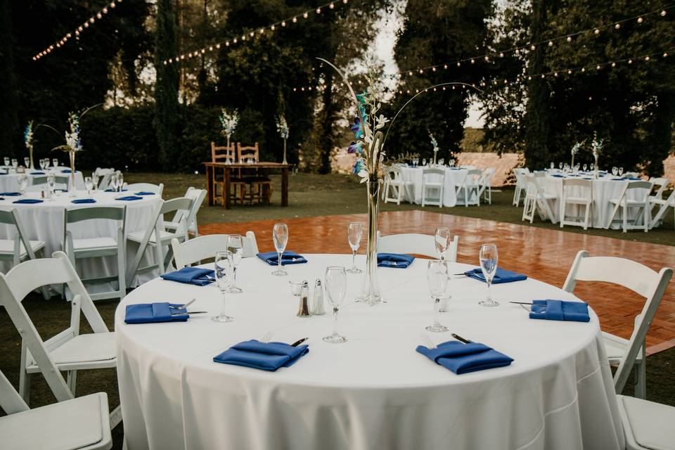 Outdoor reception setup