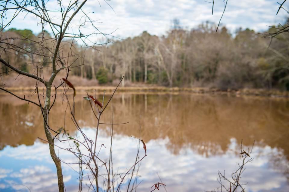 Small lake on site