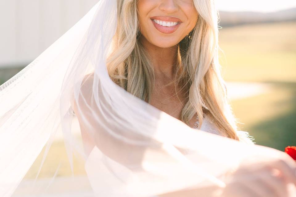 Bride and Veil