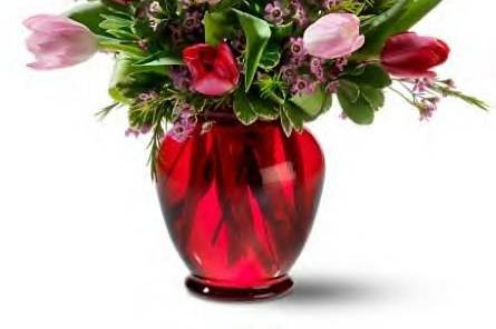 Rainbow Flowers