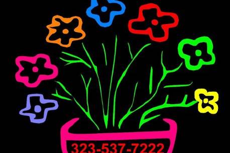 Rainbow Flowers