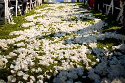 Petals on the aisle