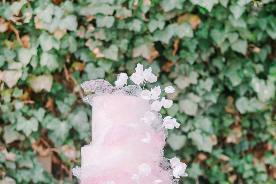 Maura Jane Photography