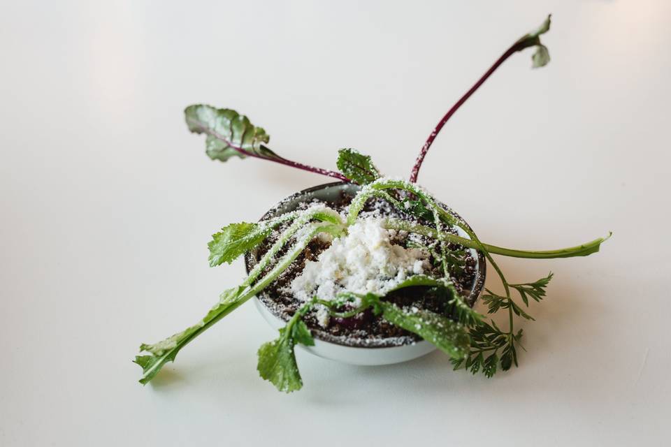 Spring Garden Salad