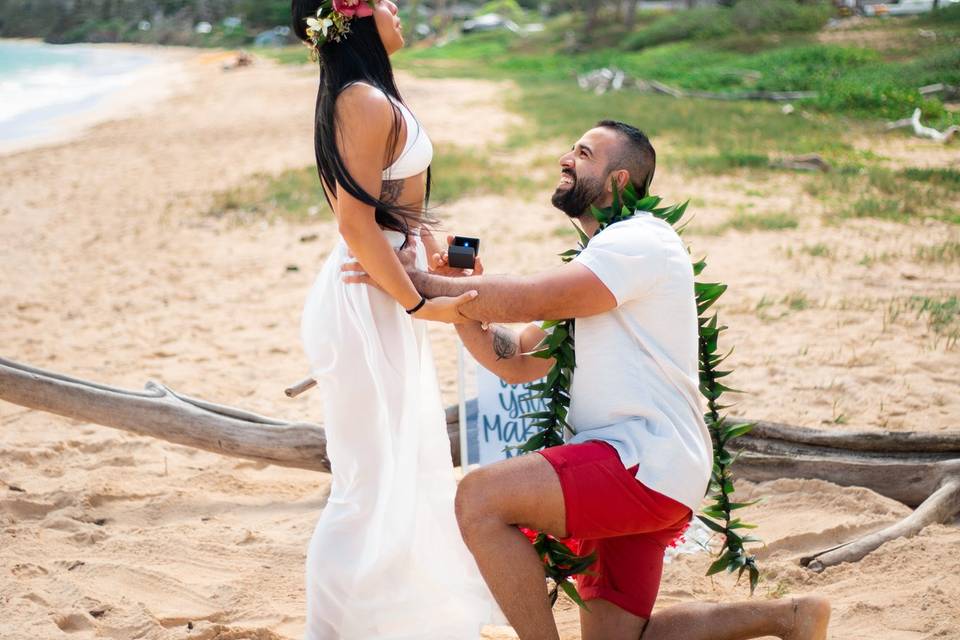 Hawaii Wedding