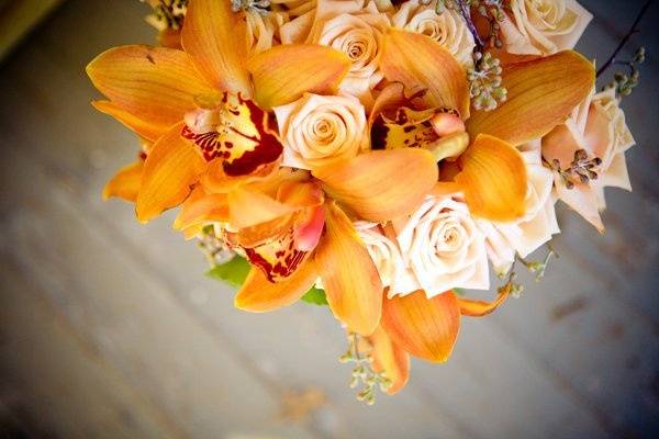 Joel Jordan Photography