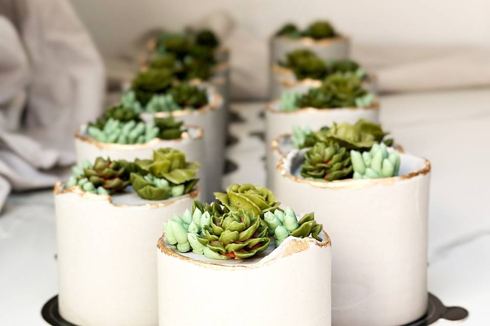 Buttercream Succulents