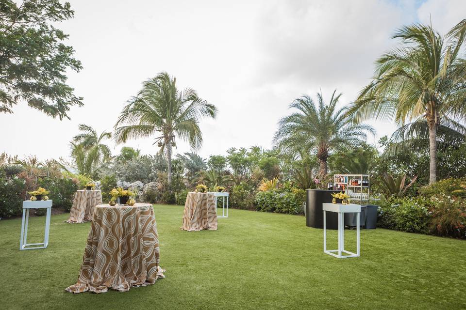 Aurea Terrace Reception