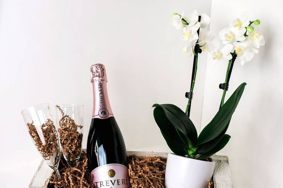 Champagne & Orchids