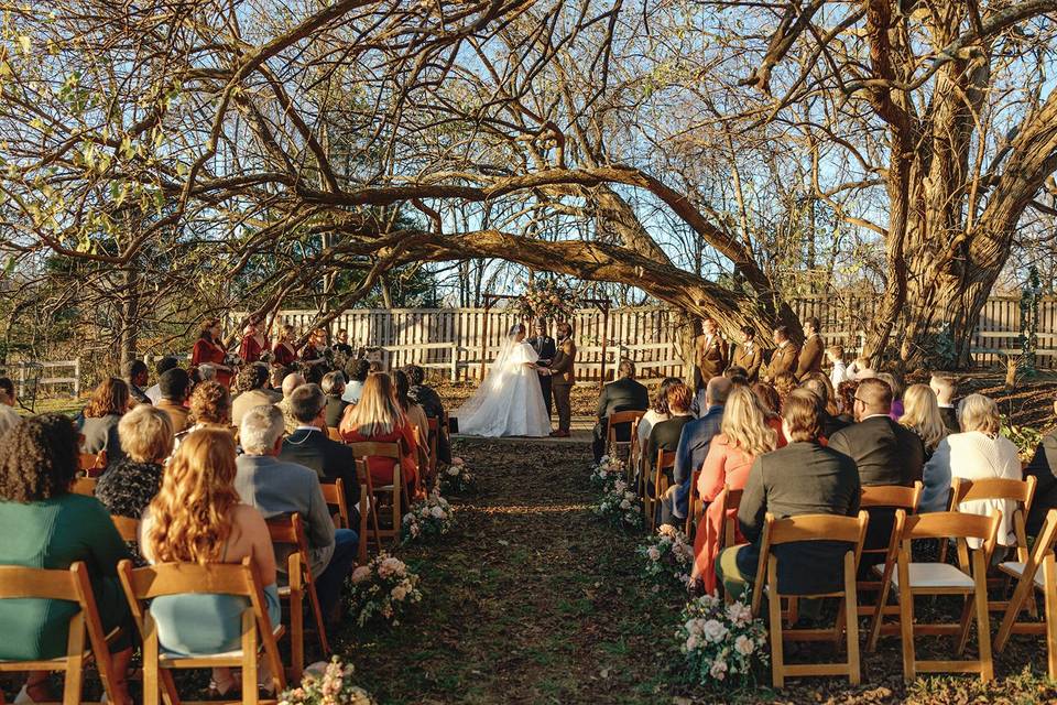 Outdoor Ceremony