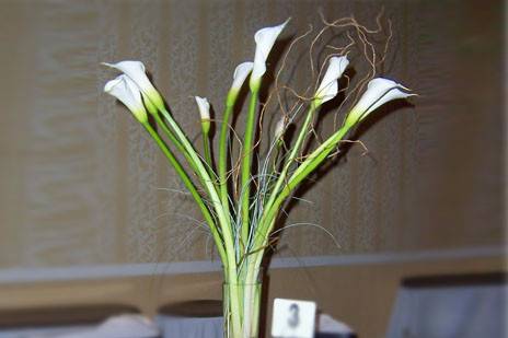 Nature's Bouquet Florist & Event Design