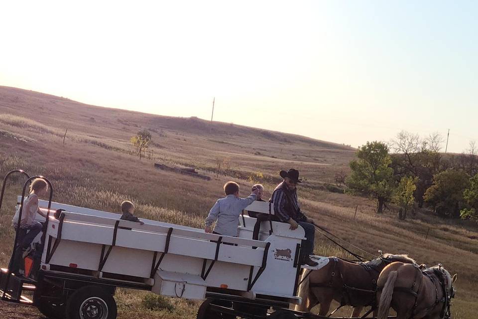 Horse and buggy