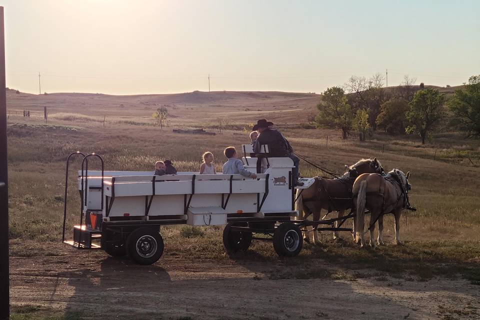 Horse and buggy