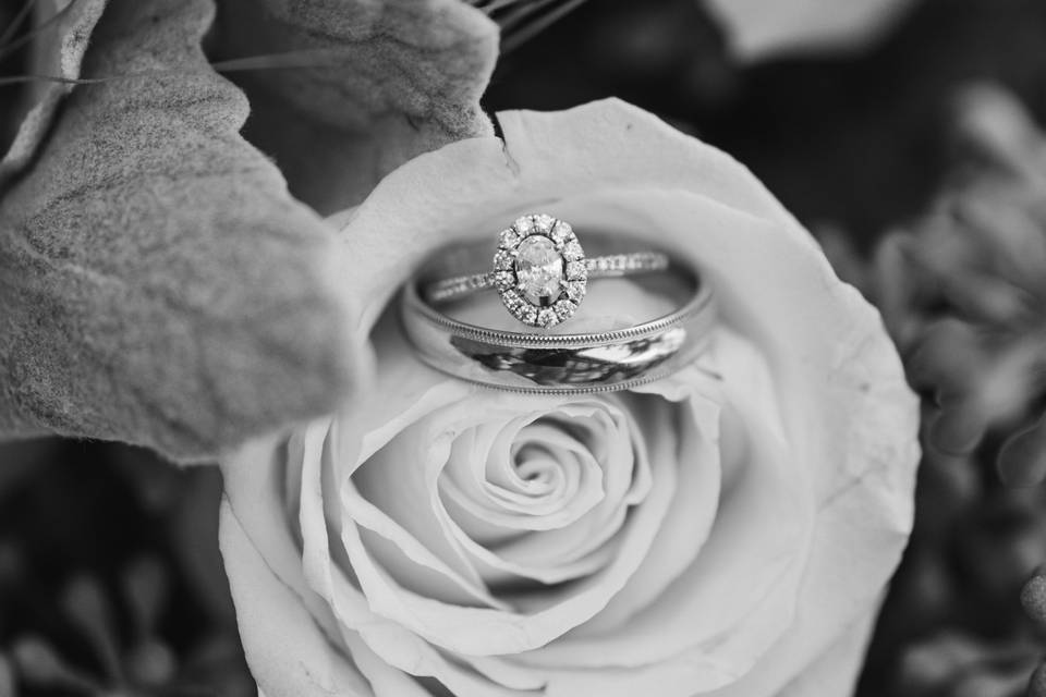 Rings + Roses