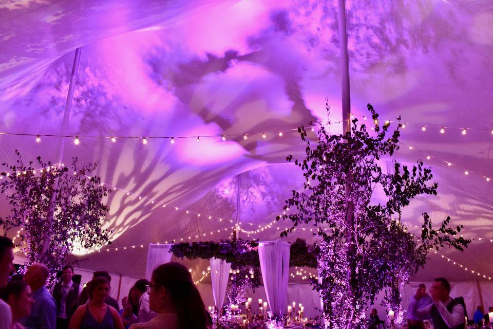 Purple tented lighting