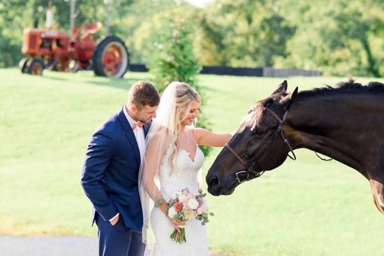 Newyweds with horse