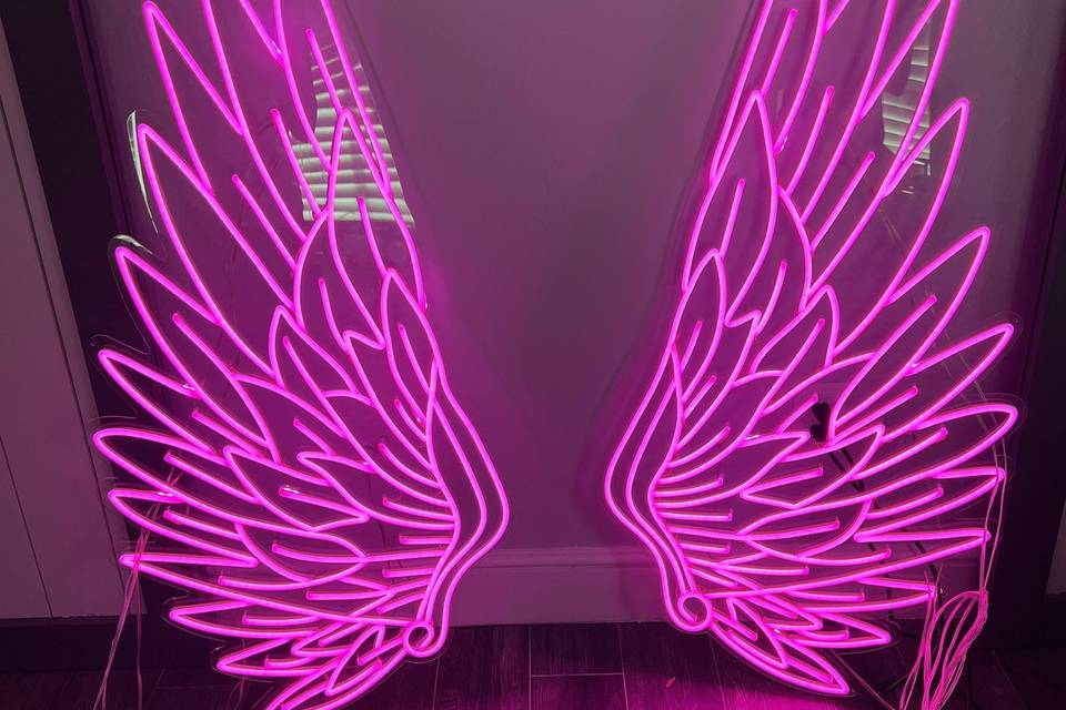 Pink LED wings- pick you color