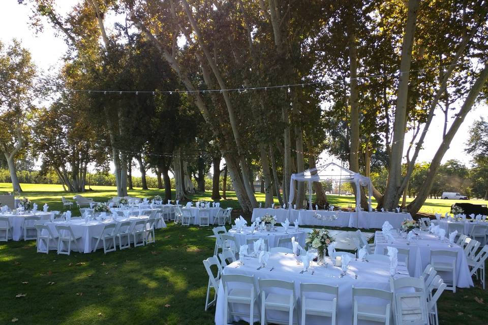 The white chairs and tables