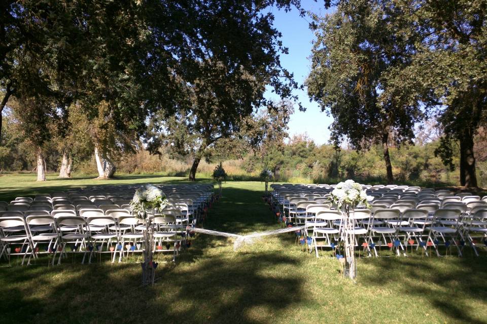 A line of chairs