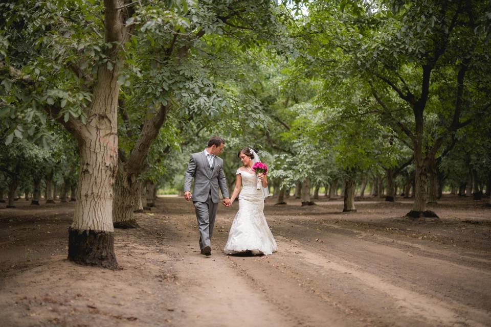 A stroll through our walnut orchards is a must!Photo by DC Photography Studios