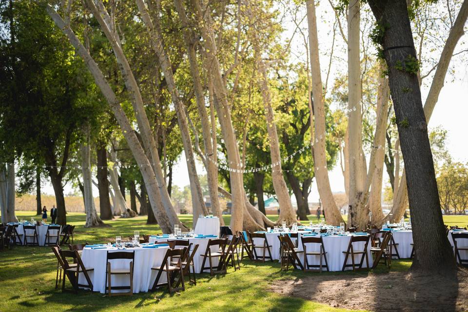 Reception space on the back east side of our Main LawnPhoto by DC Photography Studios