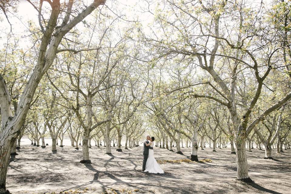 Our walnut groves are beginning to bloom!Photo by Ellie Koleen