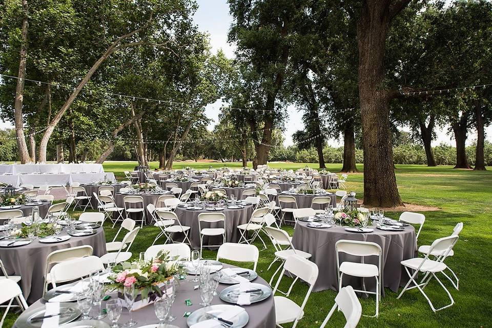 Reception on the south side of our main lawnPhoto by - Third Element Photo + CinemaWedding Coordinator - The Social SpreeRentals - Expo Party RentalsLighting - Light Up The Walls