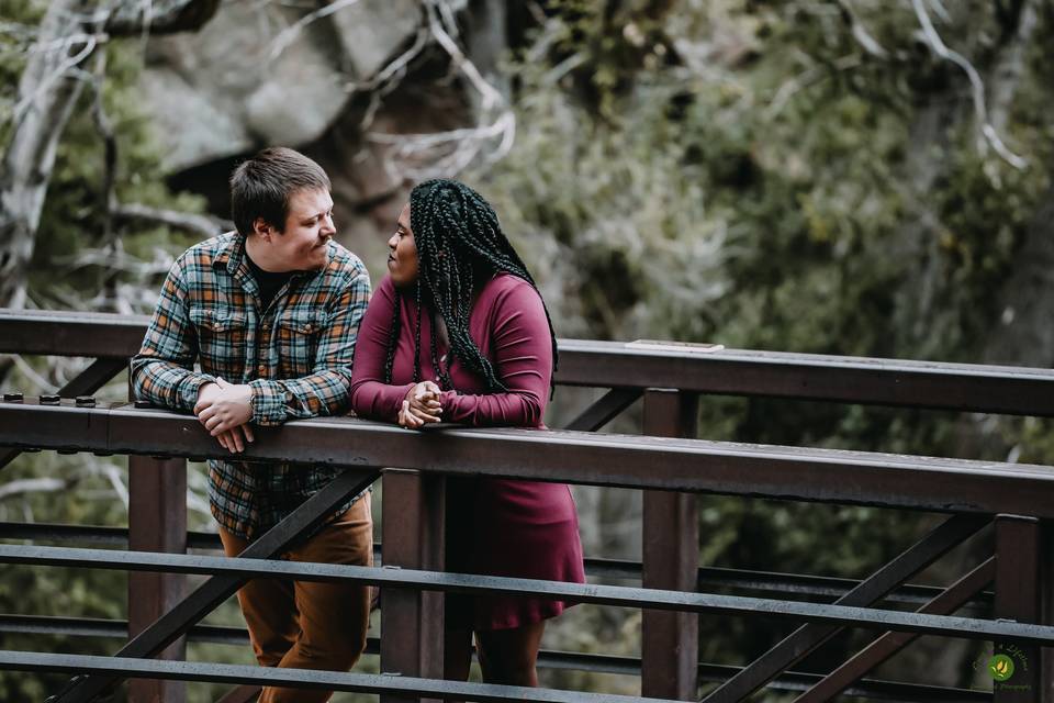 Engagement Photography