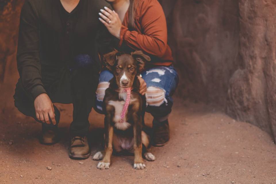 Engagement Photography