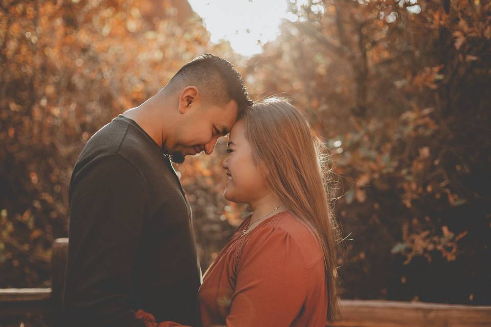 Engagement Photography